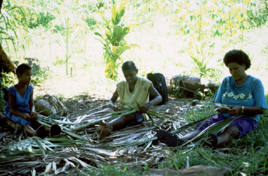 Arbeiten mit Kokusblätter