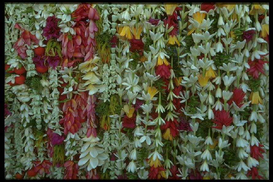 Blumen gehören überall dazu