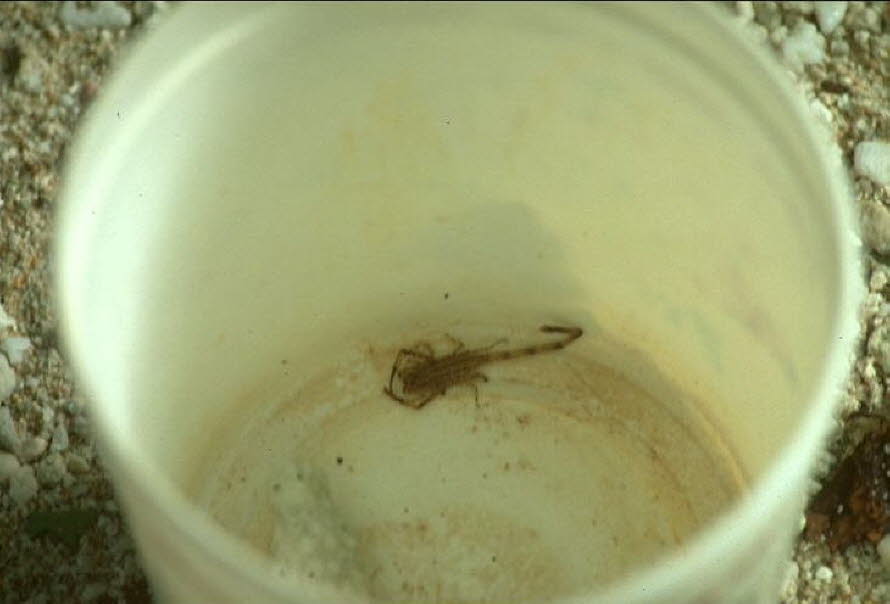 Laut Reiseführer gibt es das dort nicht