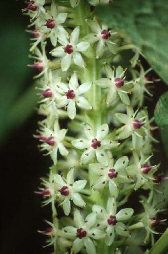 db_Michael_von_Renner_-_00043