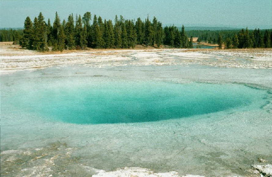 Yellowstone NP