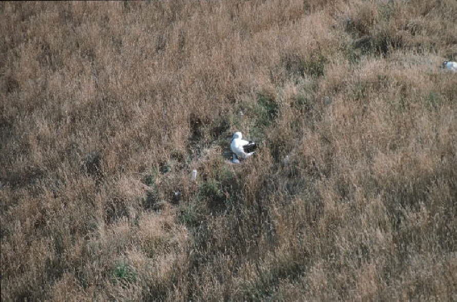 db_Michael_von_Renner_-_00084