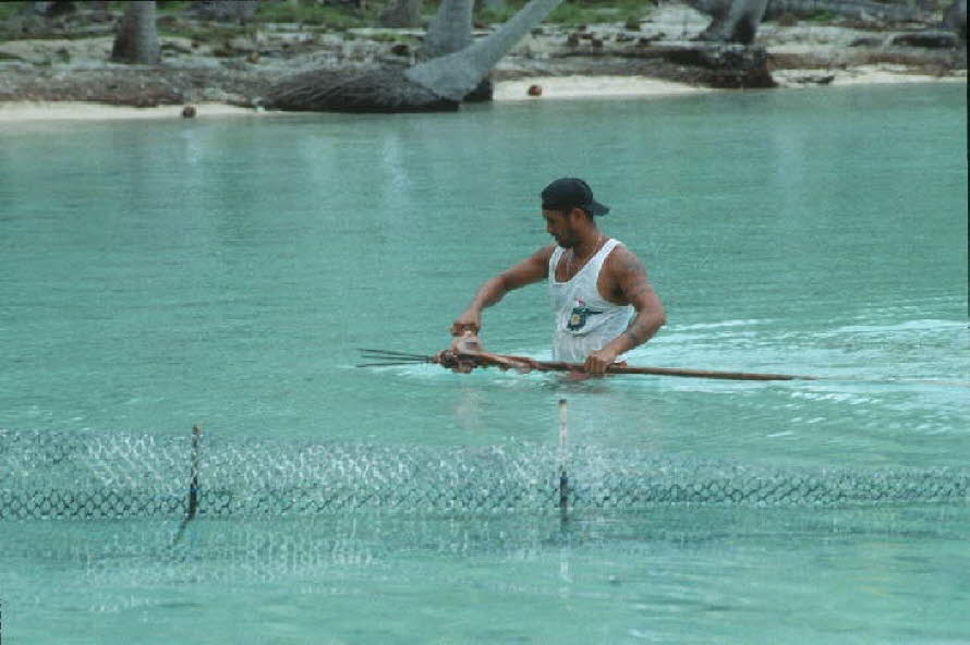 db_Michael_von_Renner_-_00092