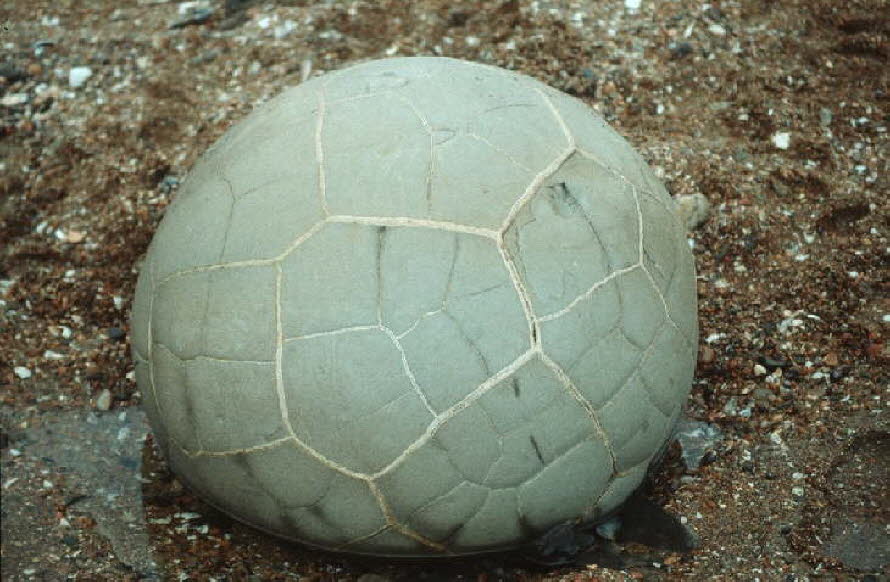 db_Michael_von_Renner_-_00094