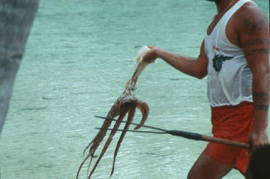 db_Michael_von_Renner_-_0010