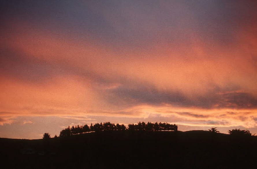 db_Michael_von_Renner_-_00112