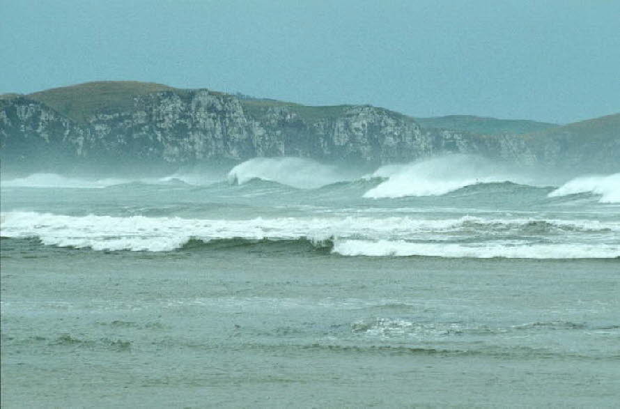 db_Michael_von_Renner_-_00124