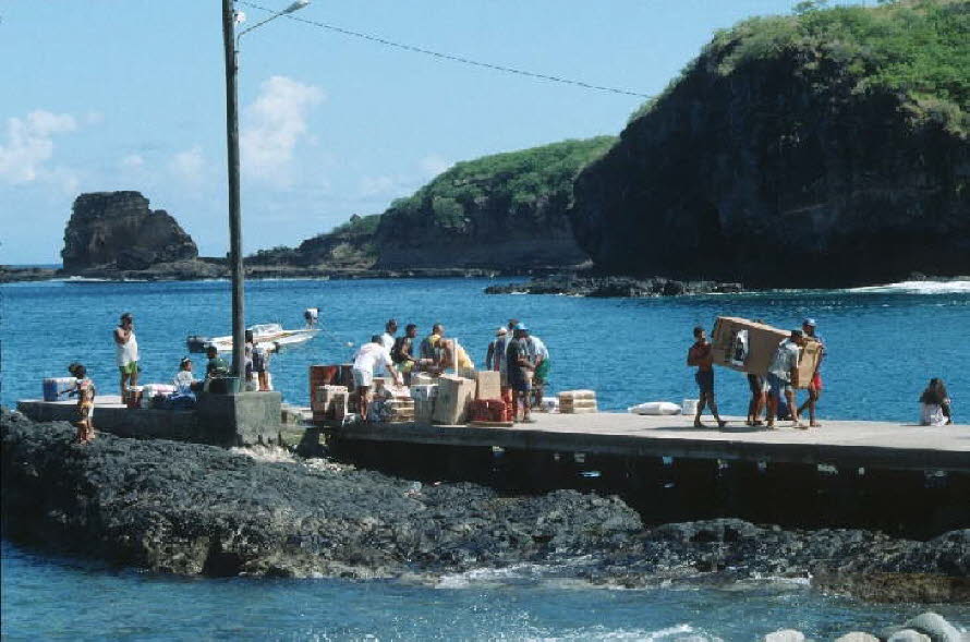 db_Michael_von_Renner_-_00131