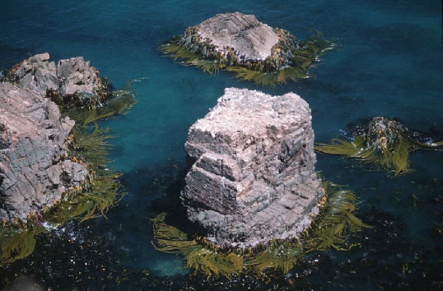 db_Michael_von_Renner_-_00142