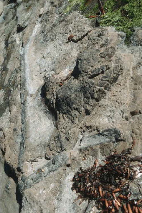 db_Michael_von_Renner_-_00172