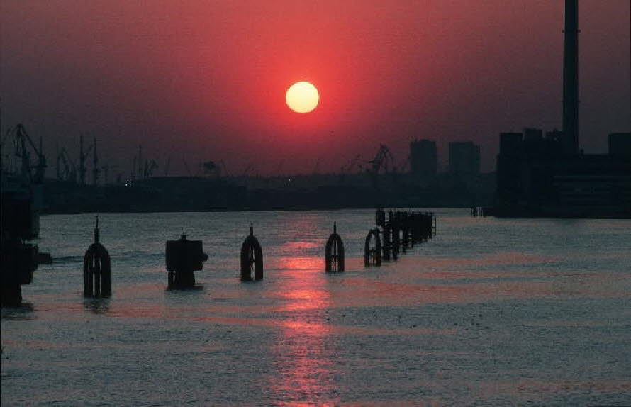 db_Michael_von_Renner_-_00207