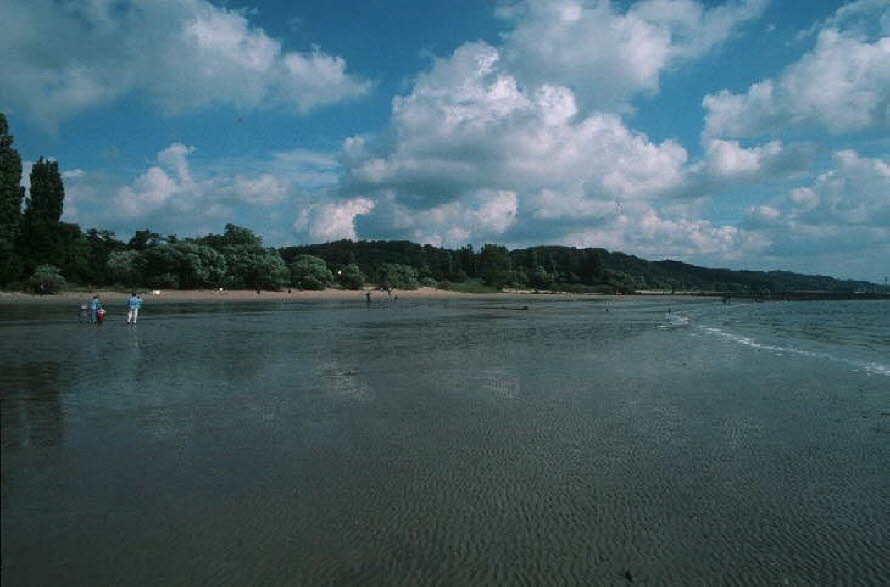 db_Michael_von_Renner_-_00217