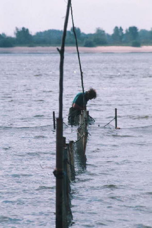 db_Michael_von_Renner_-_00227