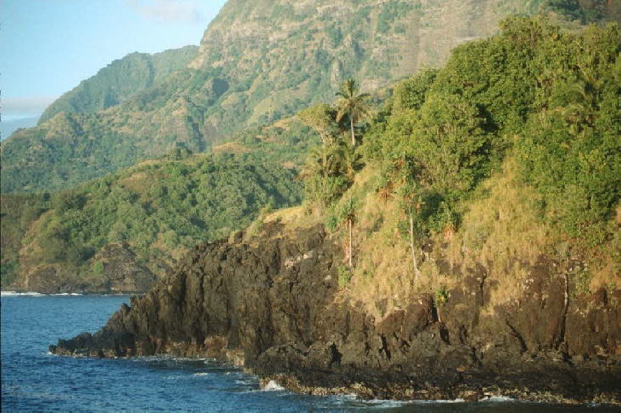 db_Michael_von_Renner_-_0024