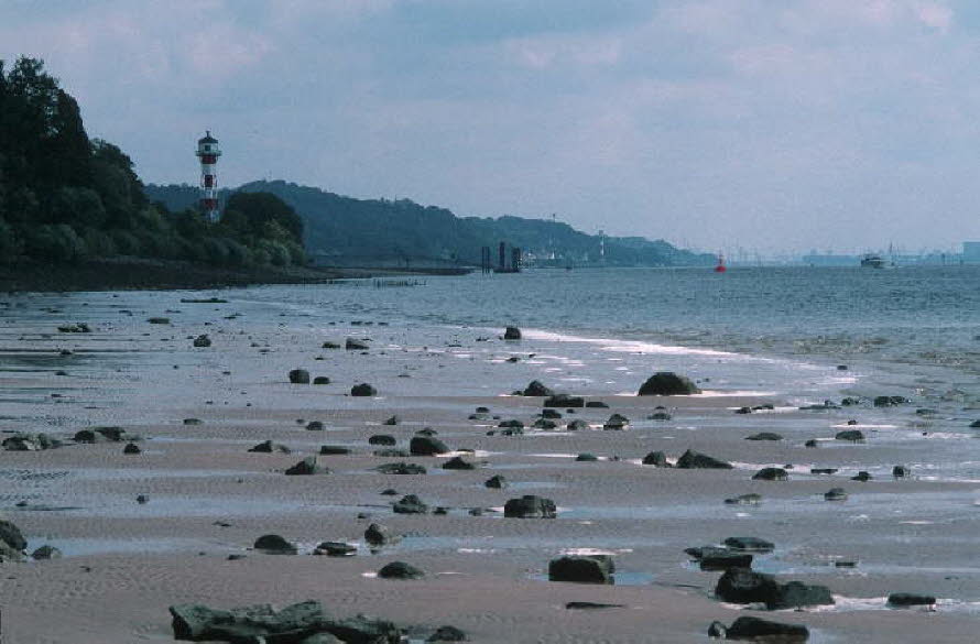 db_Michael_von_Renner_-_00257