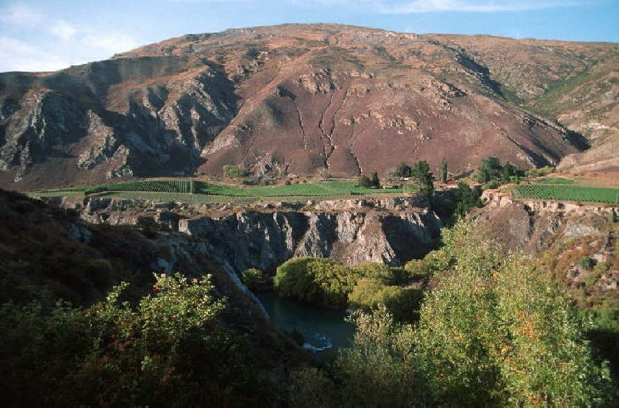 db_Michael_von_Renner_-_00293