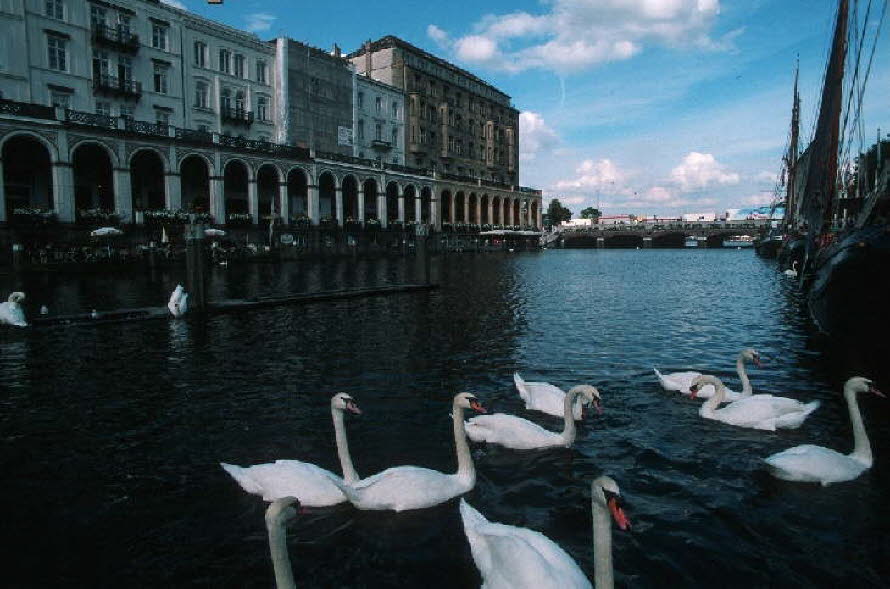 db_Michael_von_Renner_-_00297