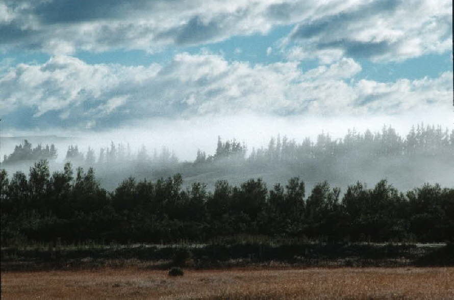 db_Michael_von_Renner_-_00325