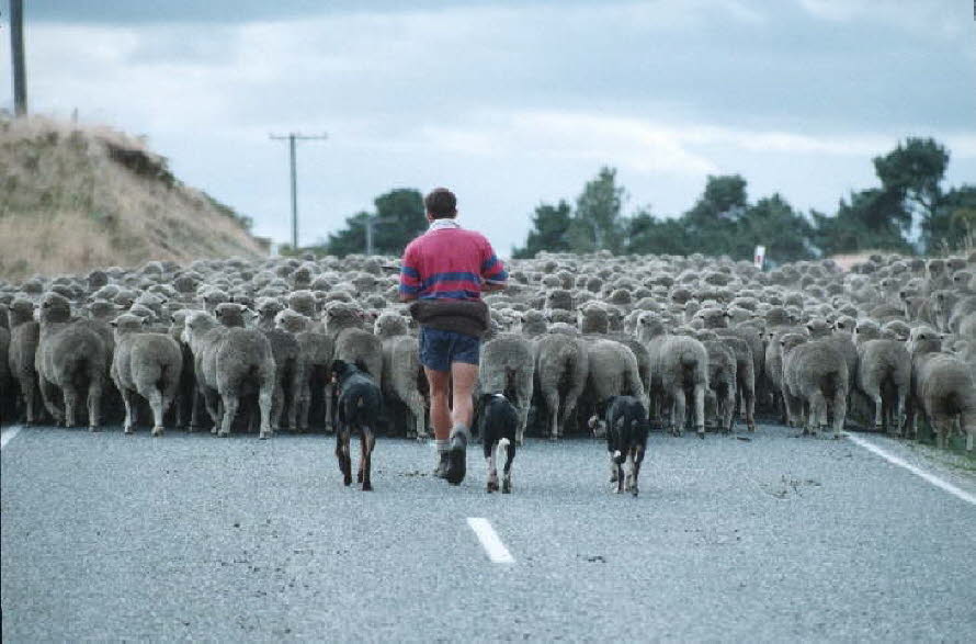 db_Michael_von_Renner_-_00342