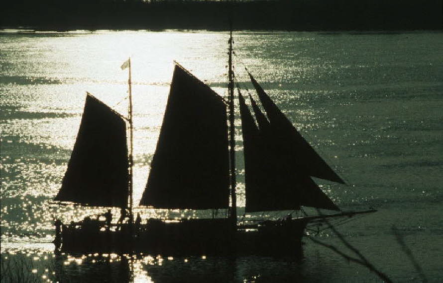 db_Michael_von_Renner_-_00345