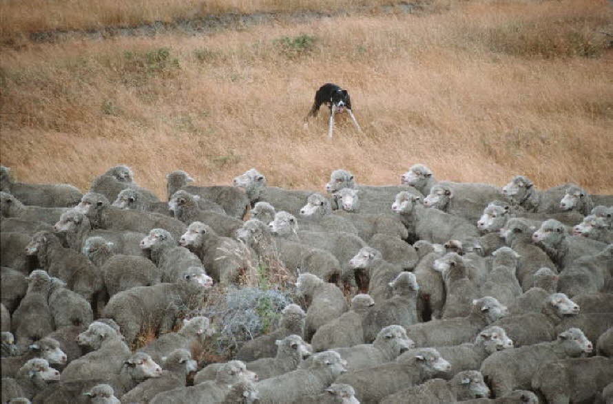 db_Michael_von_Renner_-_00352