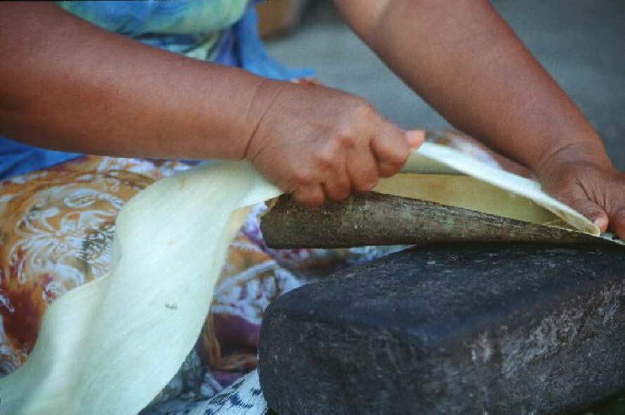 db_Michael_von_Renner_-_0036