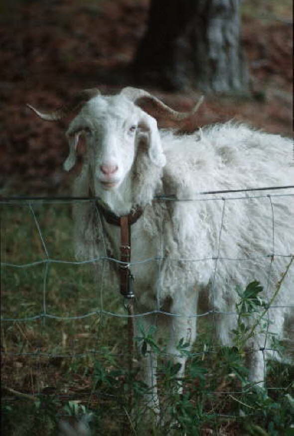 db_Michael_von_Renner_-_00362