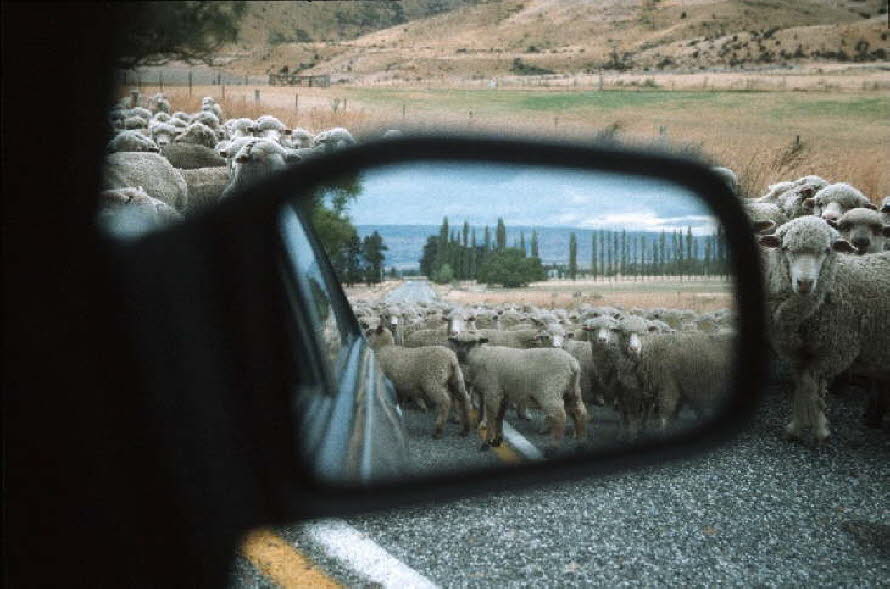 db_Michael_von_Renner_-_00373