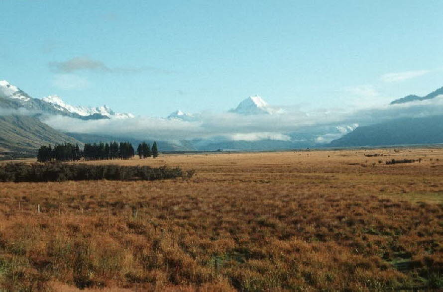 db_Michael_von_Renner_-_00472