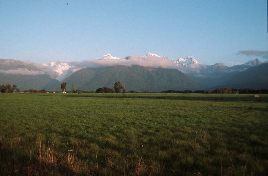 db_Michael_von_Renner_-_00482