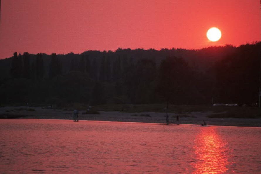 db_Michael_von_Renner_-_00495