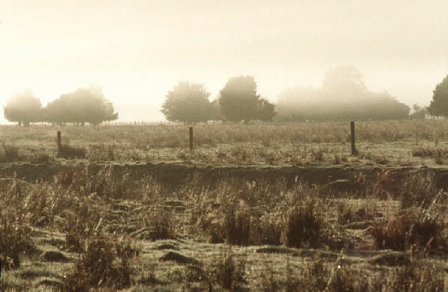 db_Michael_von_Renner_-_00512