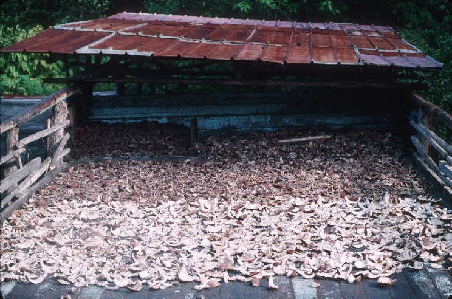 db_Michael_von_Renner_-_0061