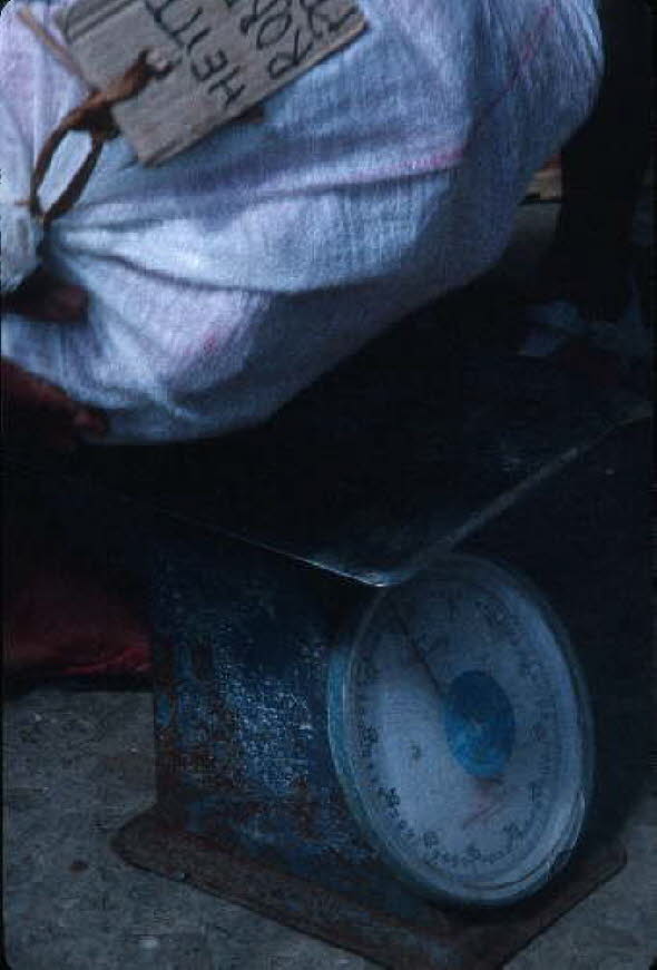 db_Michael_von_Renner_-_00632