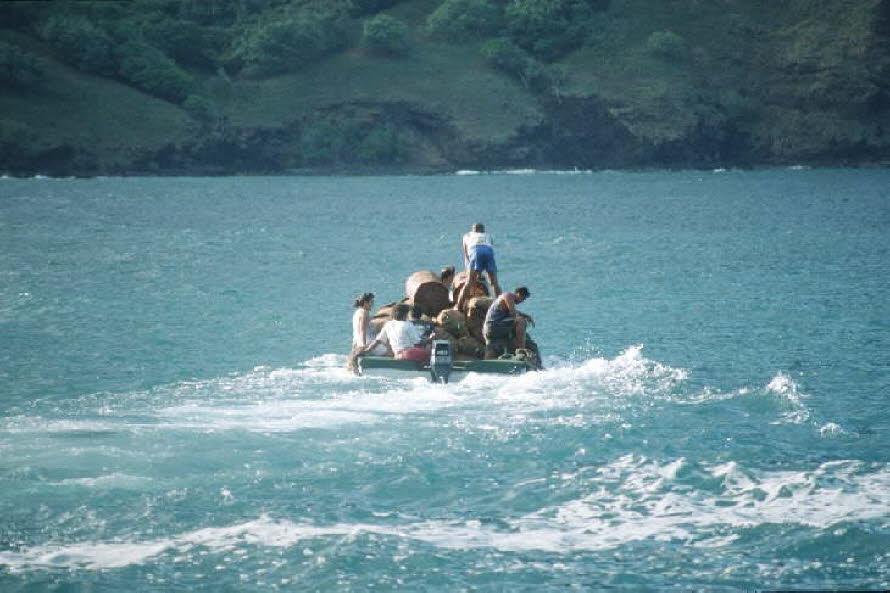 db_Michael_von_Renner_-_0064