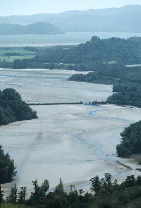 db_Michael_von_Renner_-_00682