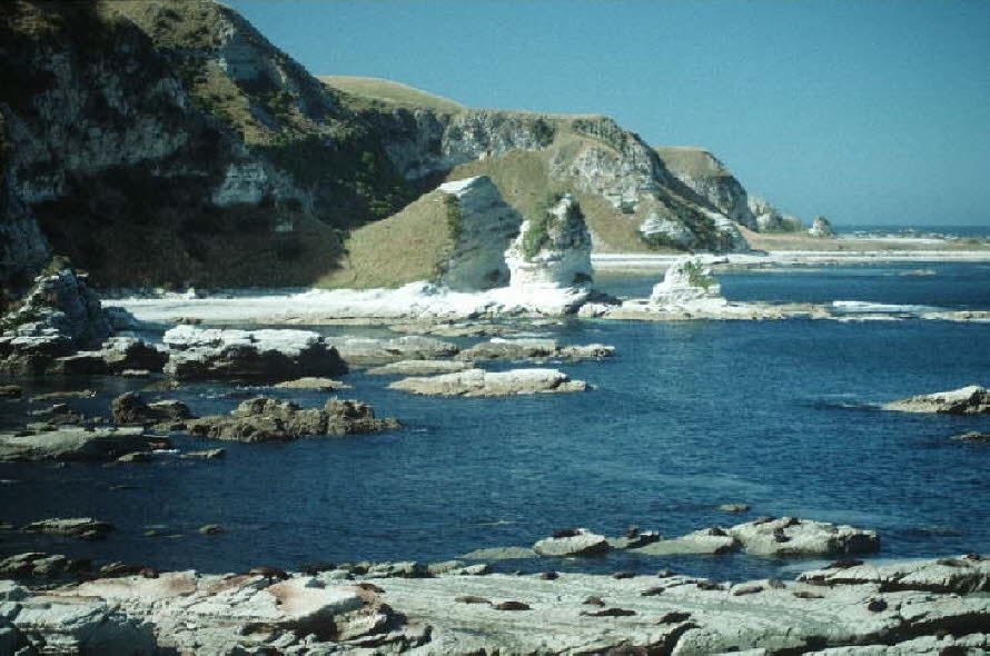 db_Michael_von_Renner_-_00731