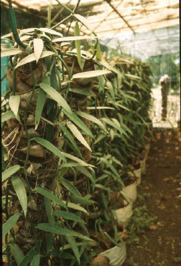 db_Michael_von_Renner_-_00761