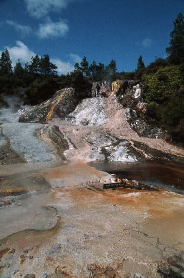 db_Michael_von_Renner_-_00861