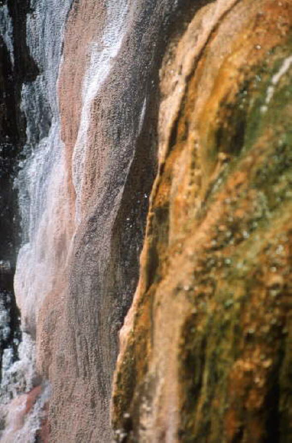 db_Michael_von_Renner_-_00872