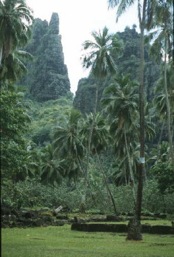 db_Michael_von_Renner_-_0094