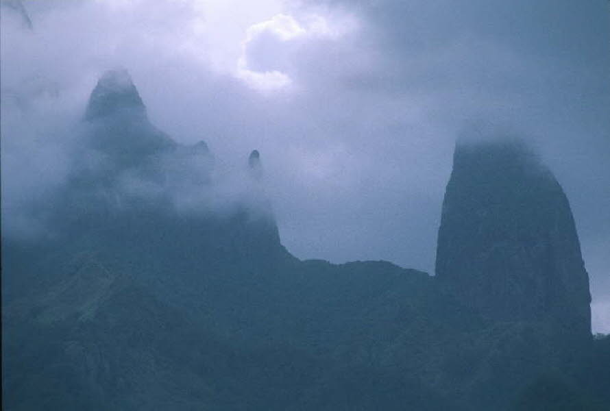 db_Michael_von_Renner_-_0105