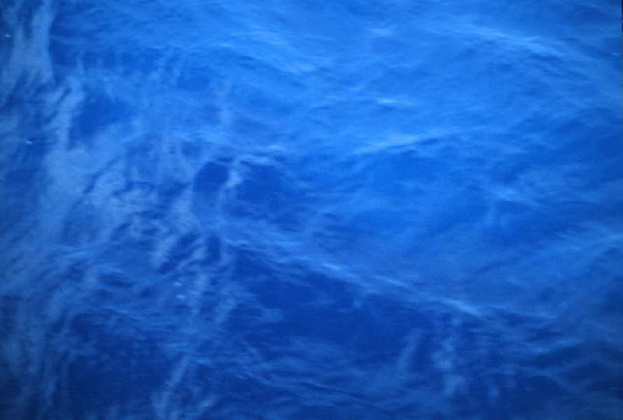 db_Michael_von_Renner_-_0107