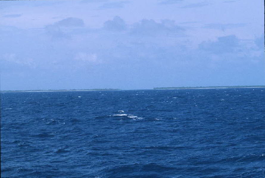 db_Michael_von_Renner_-_0108