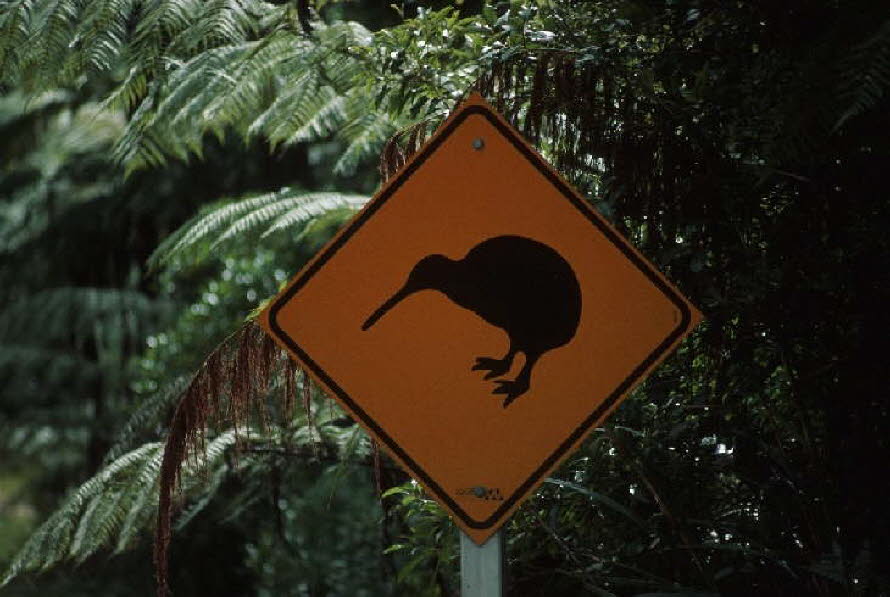 db_Michael_von_Renner_-_01081